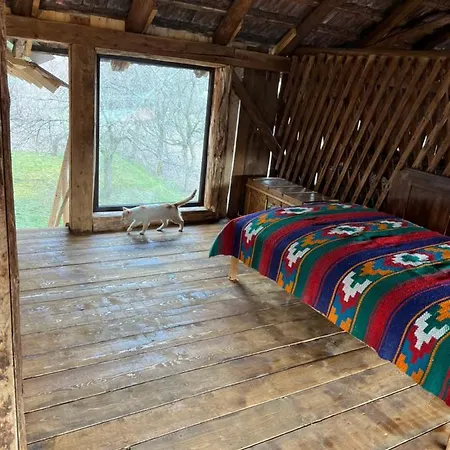 Casa De Vacanta Traditionala La Fanar Schiulesti Exterior foto