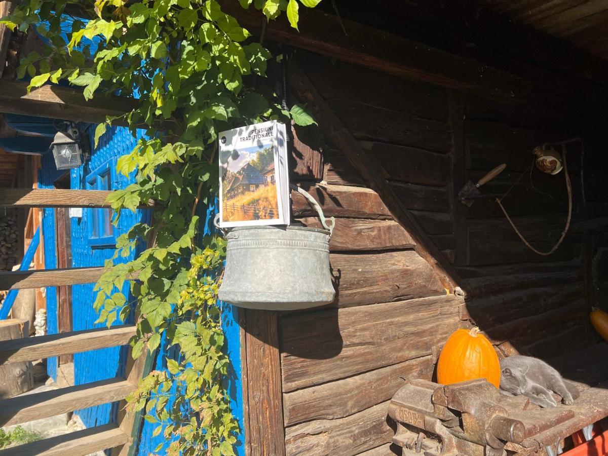 Casa De Vacanta Traditionala La Fanar Country house Schiulesti