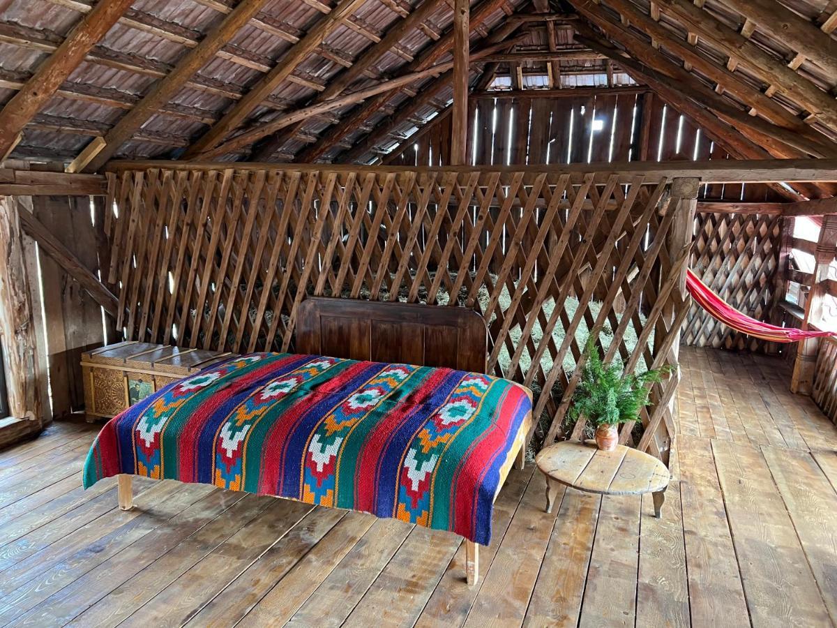 Casa De Vacanta Traditionala La Fanar Schiulesti