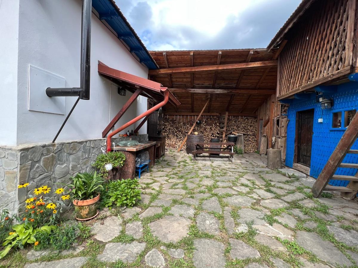Casa De Vacanta Traditionala La Fanar Country house Schiulesti