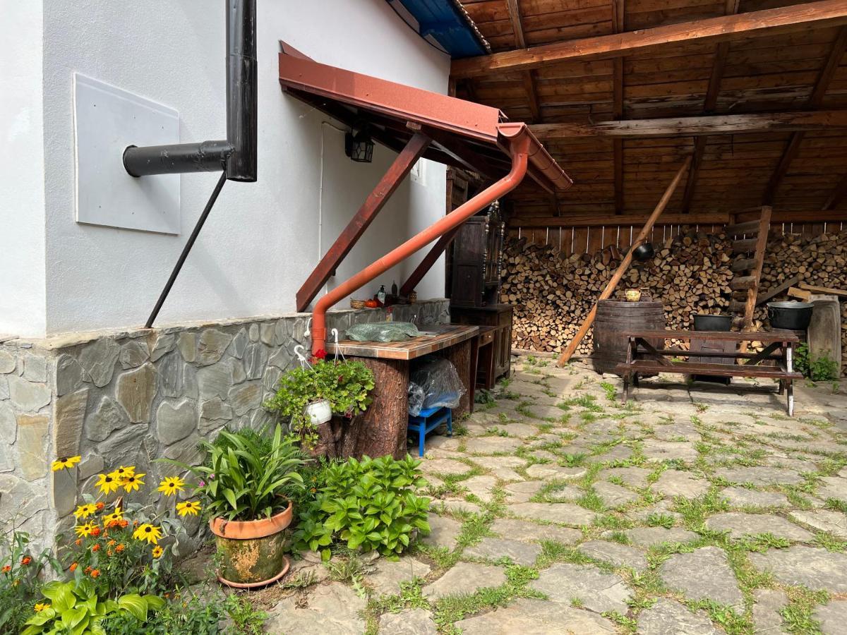 Casa De Vacanta Traditionala La Fanar *